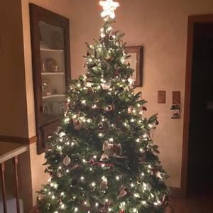 Meet your Posher, Pat